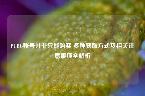 PUBG账号并非只能购买 多种获取方式及相关注意事项全解析