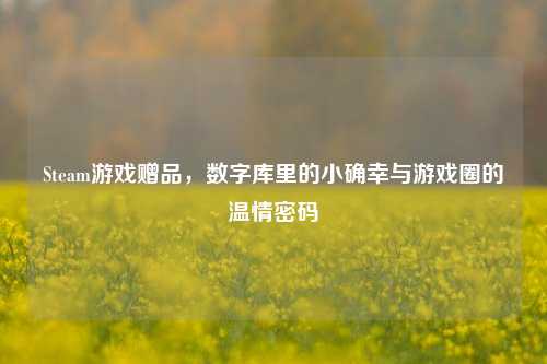Steam游戏赠品,数字库里的小确幸与游戏圈的温情密码