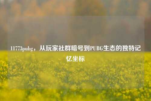 11773pubg，从玩家社群暗号到PUBG生态的独特记忆坐标