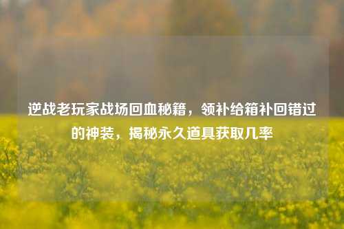 逆战老玩家战场回血秘籍，领补给箱补回错过的神装，揭秘永久道具获取几率