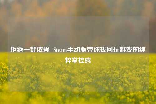拒绝一键依赖 Steam手动版带你找回玩游戏的纯粹掌控感