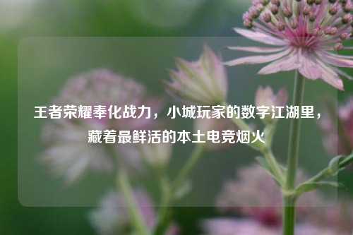 王者荣耀奉化战力，小城玩家的数字江湖里，藏着最鲜活的本土电竞烟火