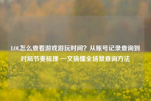 LOL怎么查看游戏游玩时间？从账号记录查询到对局节奏梳理 一文搞懂全场景查询方法