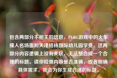 包含两部分不相关的信息,PUBG游戏中的火车撞人名场面和天津格林国际幼儿园学费,这两部分内容逻辑上没有关联,无法整合成一个合理的标题。请你检查内容是否准确,或者明确具体需求,我会为你生成合适的标题。