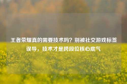 王者荣耀真的需要技术吗？别被社交游戏标签误导，技术才是跨段位核心底气