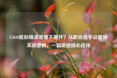 CSGO鼠标精准度要不要开?从职业选手设置到实战逻辑,一篇讲透核心选择