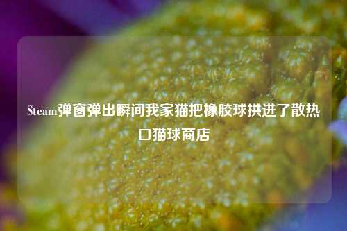 Steam弹窗弹出瞬间我家猫把橡胶球拱进了散热口猫球商店
