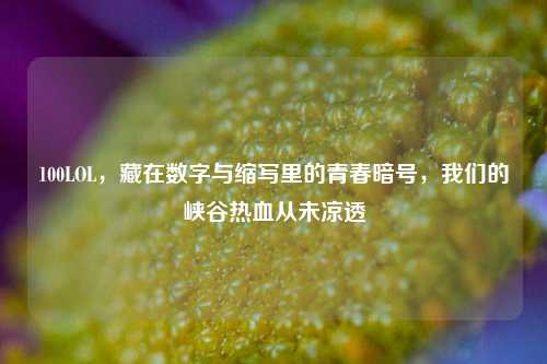 100LOL，藏在数字与缩写里的青春暗号，我们的峡谷热血从未凉透