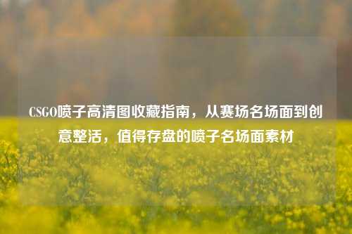 CSGO喷子高清图收藏指南,从赛场名场面到创意整活,值得存盘的喷子名场面素材