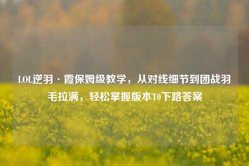 LOL逆羽·霞保姆级教学,从对线细节到团战羽毛拉满,轻松掌握版本T0下路答案