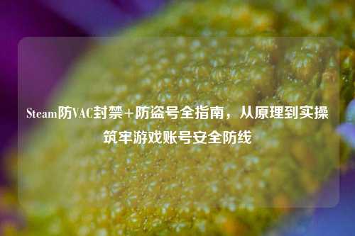 Steam防VAC封禁+防盗号全指南，从原理到实操筑牢游戏账号安全防线