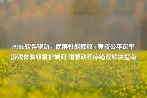 PUBG软件驱动,底层性能释放+竞技公平筑牢游戏体验双重护城河 附驱动程序错误解决指南