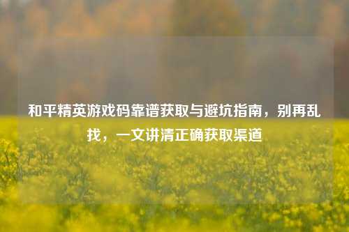 和平精英游戏码靠谱获取与避坑指南,别再乱找,一文讲清正确获取渠道