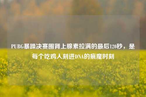 PUBG暴躁决赛圈肾上腺素拉满的最后120秒,是每个吃鸡人刻进DNA的疯魔时刻