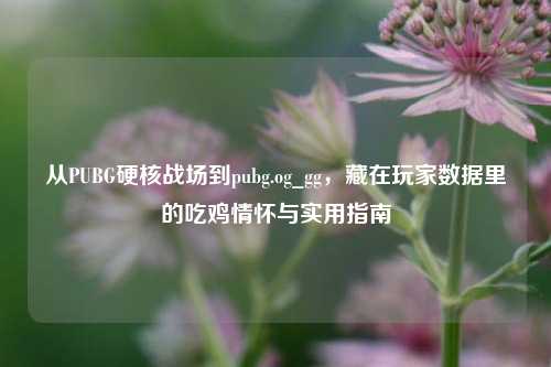 从PUBG硬核战场到pubg.og_gg,藏在玩家数据里的吃鸡情怀与实用指南