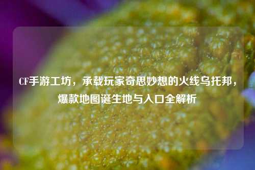 CF手游工坊，承载玩家奇思妙想的火线乌托邦，爆款地图诞生地与入口全解析