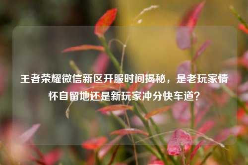 王者荣耀微信新区开服时间揭秘，是老玩家情怀自留地还是新玩家冲分快车道？