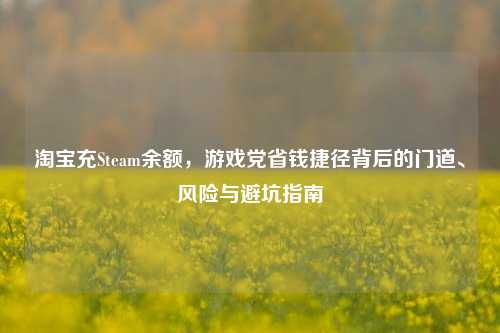 淘宝充Steam余额，游戏党省钱捷径背后的门道、风险与避坑指南