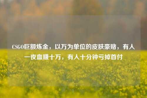 CSGO巨额炼金,以万为单位的皮肤豪赌,有人一夜血赚十万,有人十分钟亏掉首付