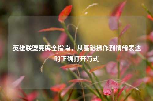 英雄联盟亮牌全指南,从基础操作到情绪表达的正确打开方式