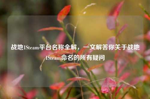 战地1Steam平台名称全解,一文解答你关于战地1Steam命名的所有疑问