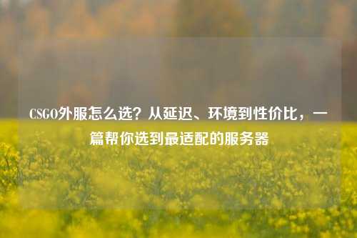 CSGO外服怎么选？从延迟、环境到性价比，一篇帮你选到最适配的服务器