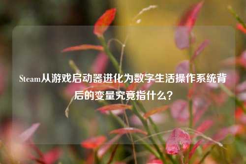 Steam从游戏启动器进化为数字生活操作系统背后的变量究竟指什么?
