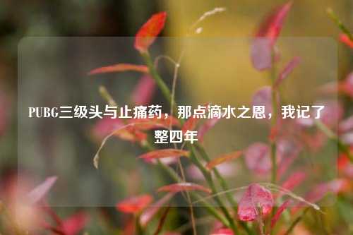 PUBG三级头与止痛药，那点滴水之恩，我记了整四年