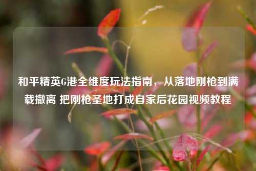 和平精英G港全维度玩法指南,从落地刚枪到满载撤离 把刚枪圣地打成自家后花园视频教程