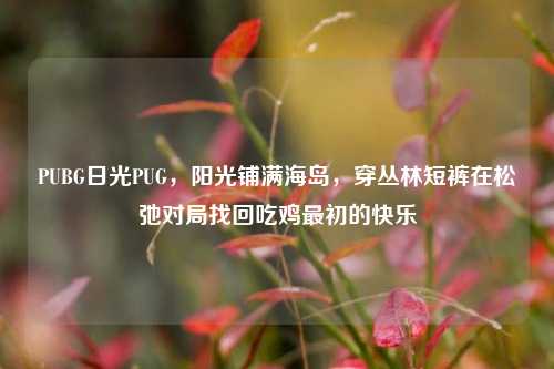 PUBG日光PUG，阳光铺满海岛，穿丛林短裤在松弛对局找回吃鸡最初的快乐