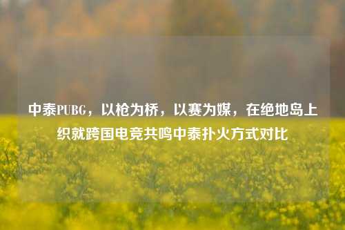 中泰PUBG，以枪为桥，以赛为媒，在绝地岛上织就跨国电竞共鸣中泰扑火方式对比