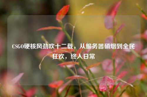 CSGO硬核风劲吹十二载，从服务器硝烟到全民狂欢，终入日常