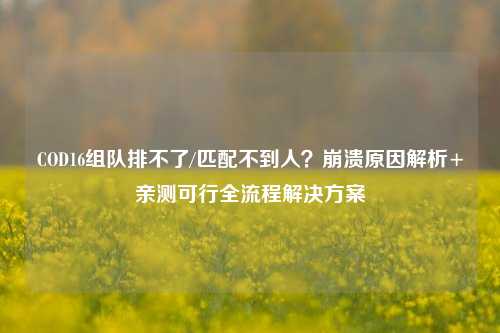 COD16组队排不了/匹配不到人？崩溃原因解析+亲测可行全流程解决方案