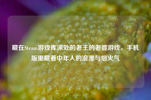 藏在Steam游戏库深处的老王的老婆游戏,手机版里藏着中年人的浪漫与烟火气