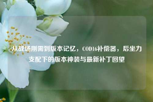从战场刚需到版本记忆，COD16补偿器，后坐力支配下的版本神装与最新补丁回望