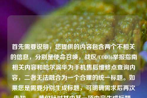 首先需要说明，您提供的内容包含两个不相关的信息，分别是使命召唤，战区/COD16举报指南相关内容和哈尔滨华为手机售后维修点查询内容，二者无法融合为一个合理的统一标题。如果您是需要分别生成标题，可明确需求后再次告知。，若仅针对其中某一项内容生成标题，比如针对使命召唤，战区/COD16举报相关内容，标题可为，/COD16举报全指南，精准揪出违规玩家 守护公平对战环境；针对哈尔滨华为手机售后维修点查询，标题可为，哈尔滨华为手机售后维修点位置查询指南。