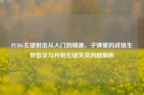 PUBG左键射击从入门到精通，子弹里的战场生存哲学与开枪左键失灵问题解析