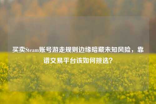 买卖Steam账号游走规则边缘暗藏未知风险，靠谱交易平台该如何挑选？
