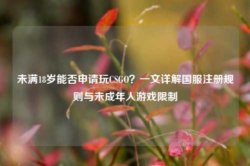 未满18岁能否申请玩CSGO？一文详解国服注册规则与未成年人游戏限制