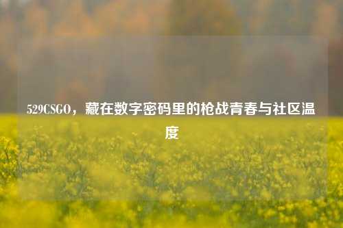 529CSGO，藏在数字密码里的枪战青春与社区温度