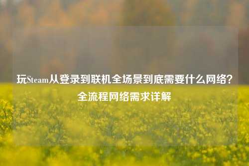 玩Steam从登录到联机全场景到底需要什么网络?全流程网络需求详解