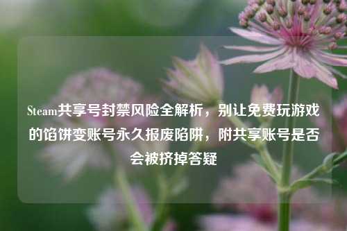 Steam共享号封禁风险全解析,别让免费玩游戏的馅饼变账号永久报废陷阱,附共享账号是否会被挤掉答疑