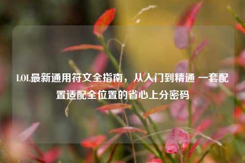 LOL最新通用符文全指南,从入门到精通 一套配置适配全位置的省心上分密码