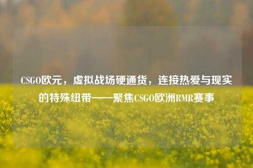 CSGO欧元，虚拟战场硬通货，连接热爱与现实的特殊纽带——聚焦CSGO欧洲RMR赛事