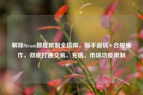 解除Steam额度限制全指南,新手避坑+合规操作,彻底打通交易、充值、市场功能限制