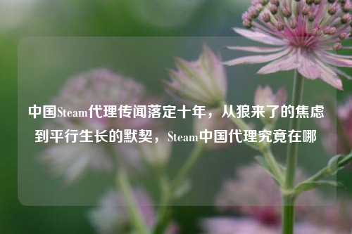 中国Steam代理传闻落定十年，从狼来了的焦虑到平行生长的默契，Steam中国代理究竟在哪