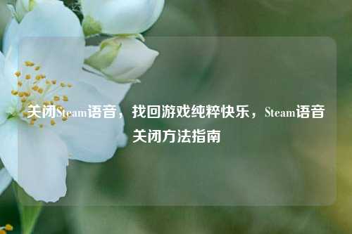 关闭Steam语音，找回游戏纯粹快乐，Steam语音关闭方法指南