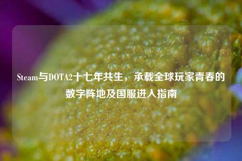 Steam与DOTA2十七年共生，承载全球玩家青春的数字阵地及国服进入指南