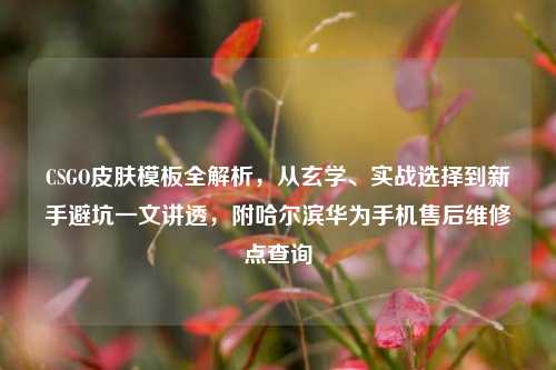 CSGO皮肤模板全解析,从玄学、实战选择到新手避坑一文讲透,附哈尔滨华为手机售后维修点查询
