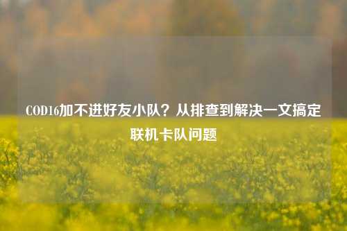 COD16加不进好友小队？从排查到解决一文搞定联机卡队问题